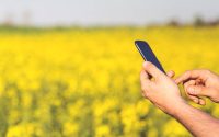 Pessoa segurando um celular em meio a um campo de flores